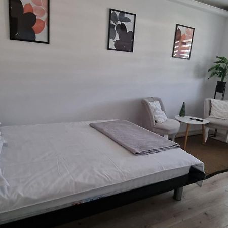 קורטאה דה ארגס Radu'S Room מראה חיצוני תמונה