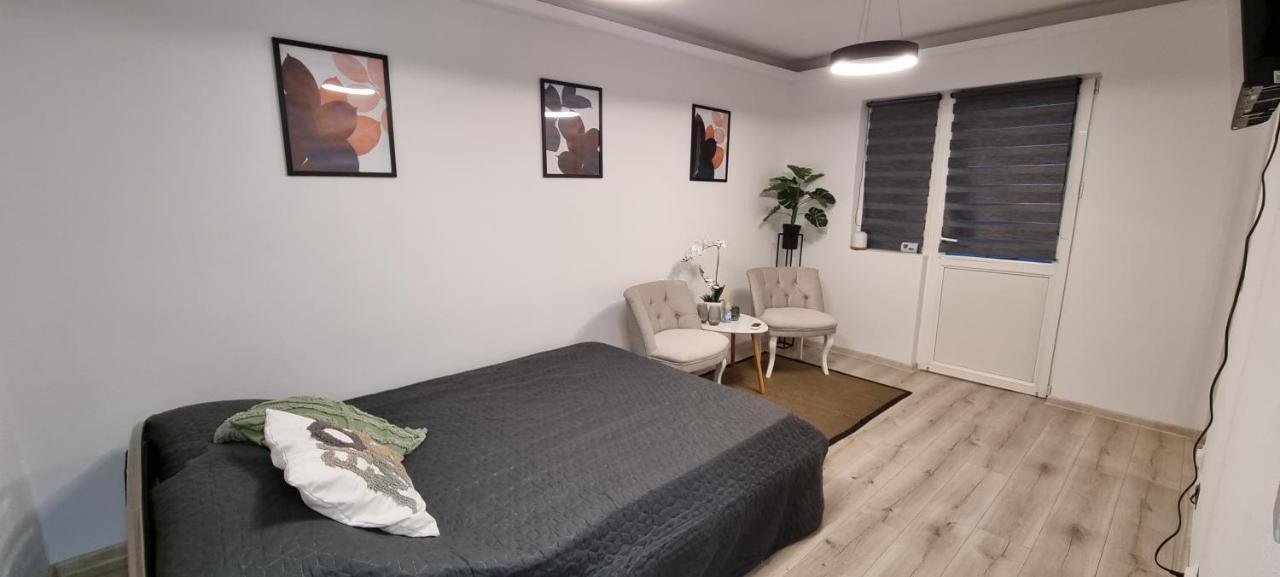 קורטאה דה ארגס Radu'S Room מראה חיצוני תמונה