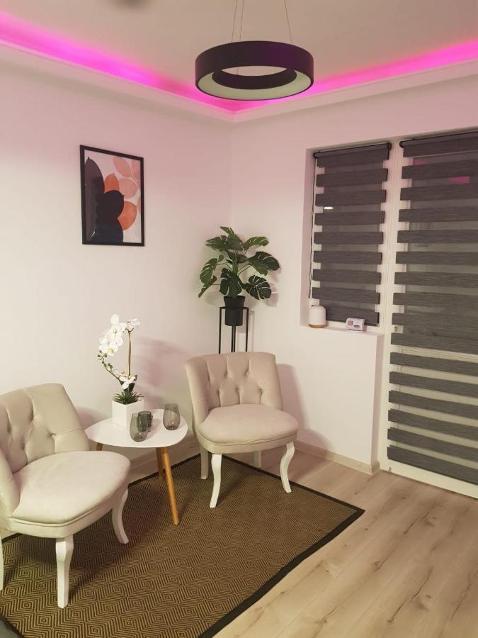 קורטאה דה ארגס Radu'S Room מראה חיצוני תמונה