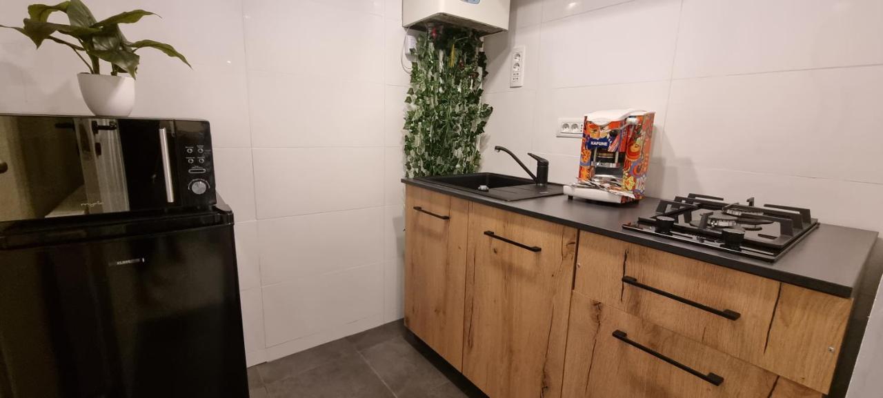קורטאה דה ארגס Radu'S Room מראה חיצוני תמונה