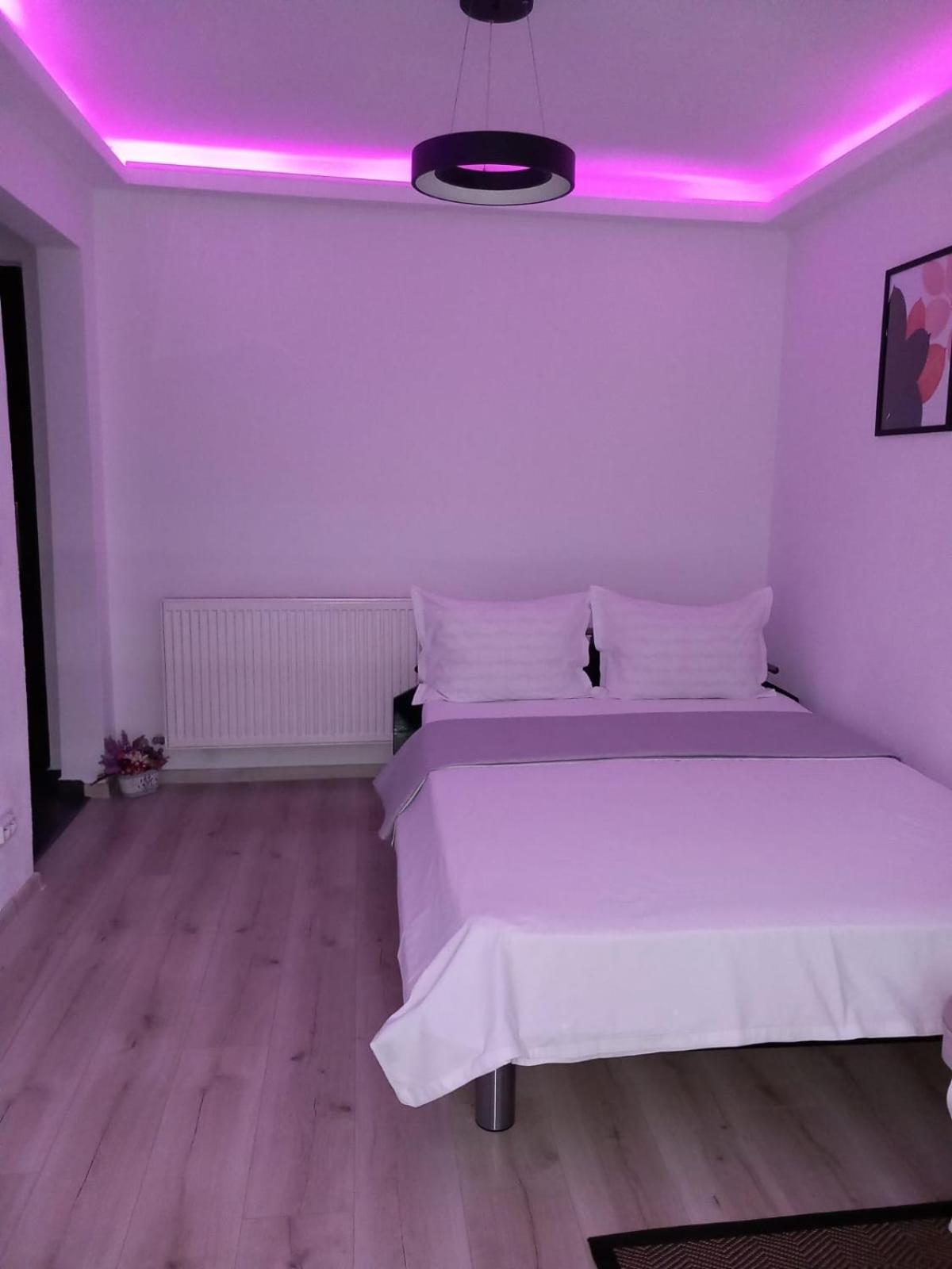 קורטאה דה ארגס Radu'S Room מראה חיצוני תמונה